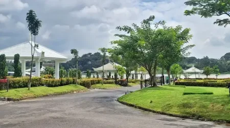 Cherry Blossom vs Ruby Mansion